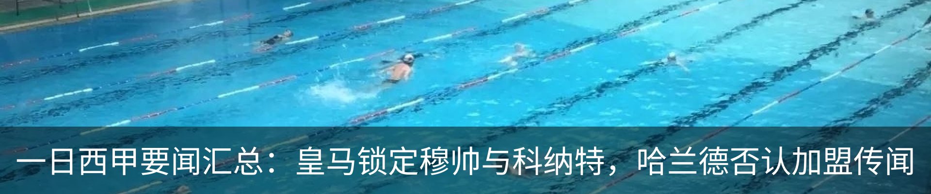 最新动态